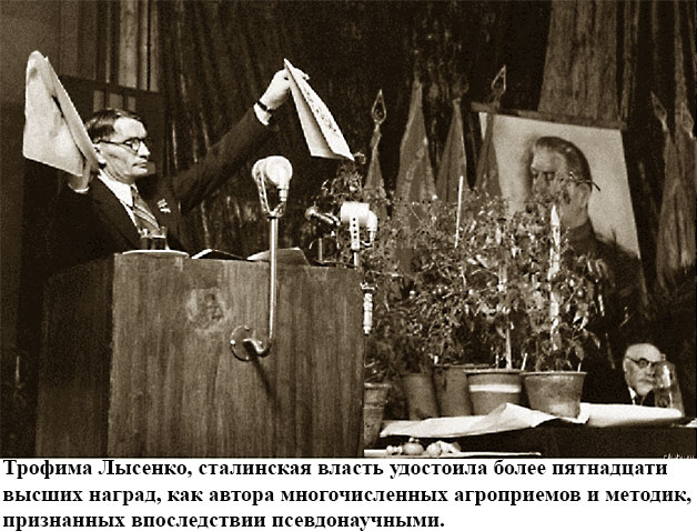 Vavilov Lisenko 628
