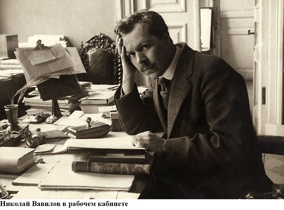 Vavilov v kabinete924
